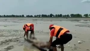 नेपाल में मौत से मातम, सामूहिक जलाए जा रहे शव नेपाल में मौत से मातम, सामूहिक जलाए जा रहे शव