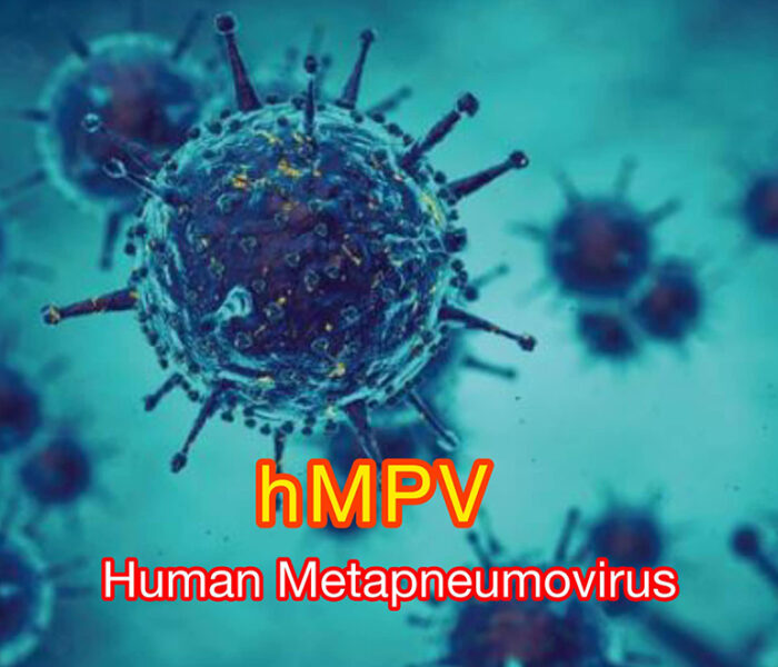 Human Metapneumovirus