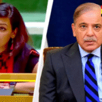 UNGA में India ने Pakistan को कड़ा जवाब दिया